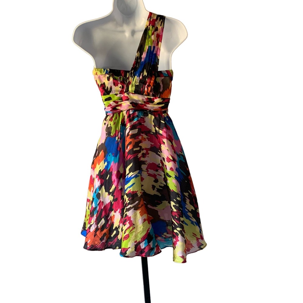 Multicolor Fit and Flare Dress - Picture 4 of 9